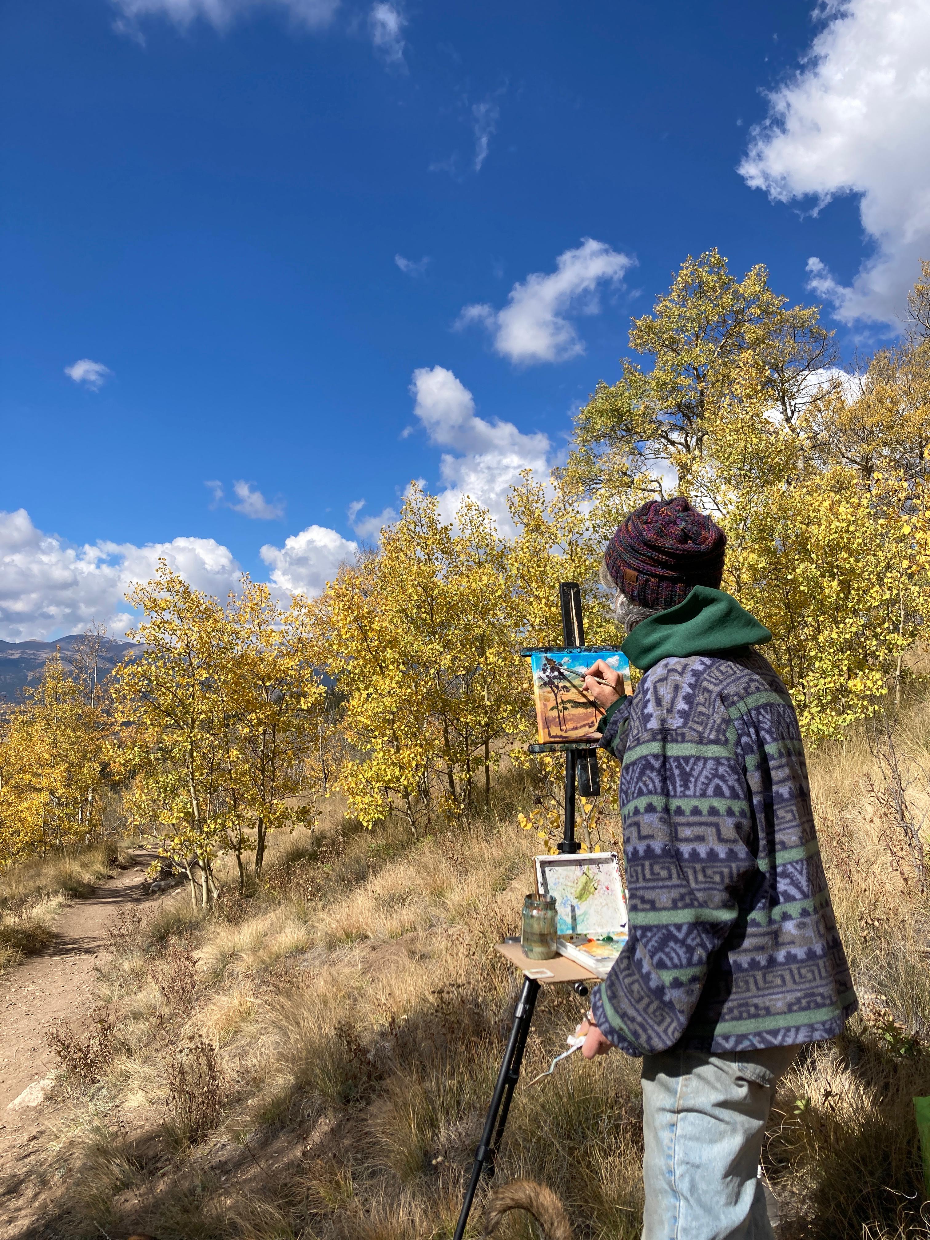 « Kenosha Colors », paysage plein air du Colorado de Tracy Wall en vente 4