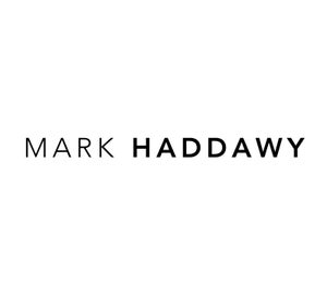 Mark Haddawy