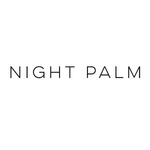 Night Palm Studio
