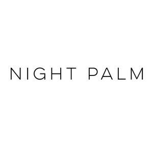 Night Palm Studio