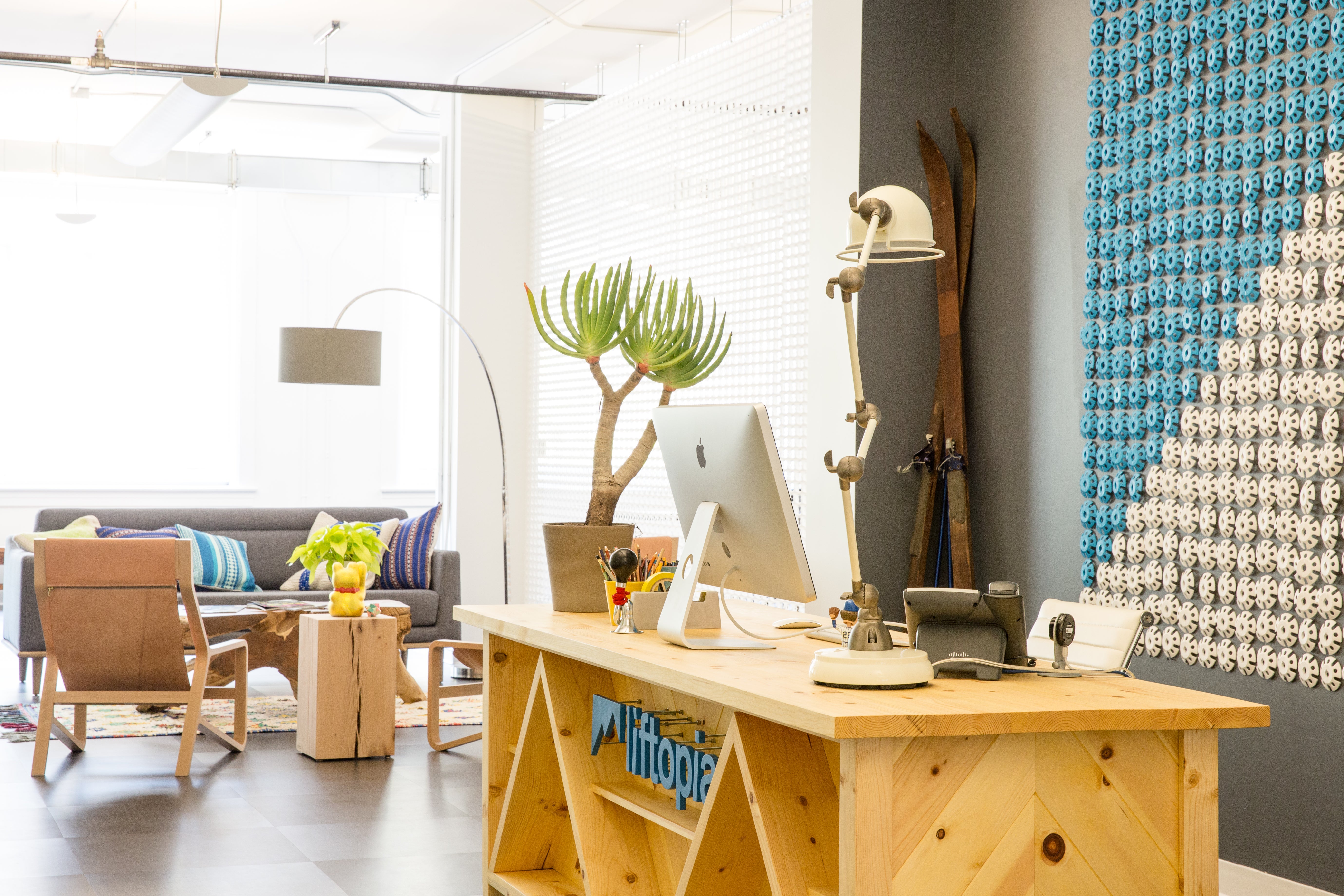 Organic Lobby and Reception