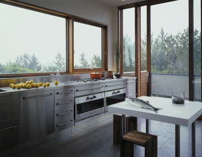  Modern Beach House Kitchen. House On A Barrier Island by Christoff:Finio Architecture.