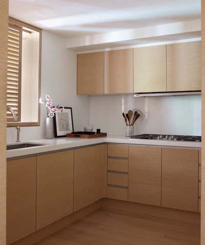  Modern Apartment Kitchen. Gramercy Park Residence by Neal Beckstedt Studio.