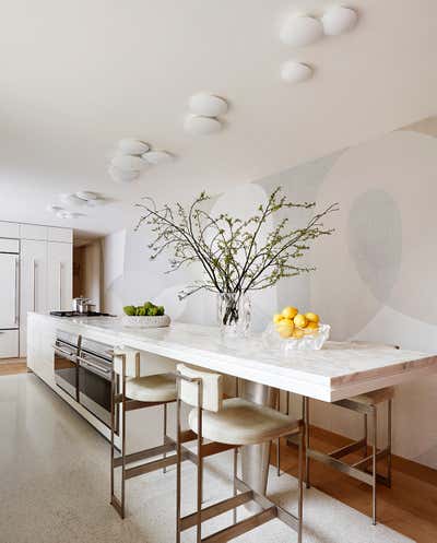  Modern Apartment Kitchen. East End Avenue Residence by Amy Lau Design.