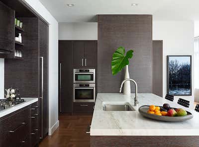 Contemporary Apartment Kitchen. High Line Penthouse by Damon Liss Design.