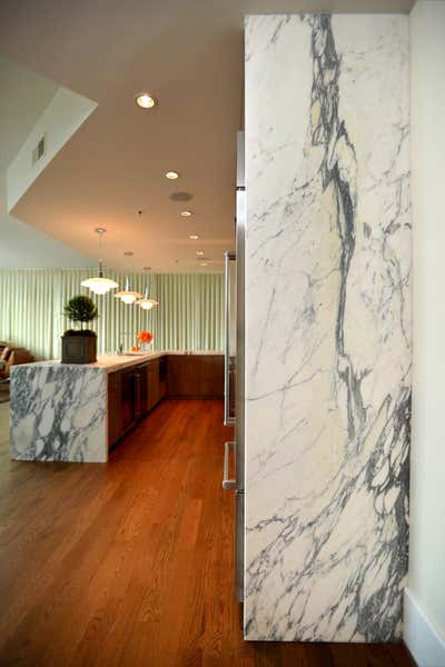  Contemporary Apartment Kitchen. Modern High-Rise by Savage Interior Design.