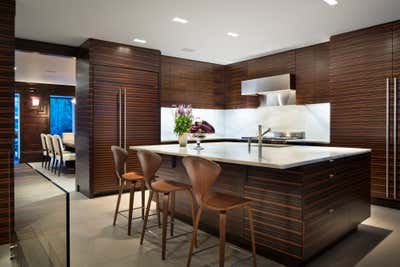  Modern Family Home Kitchen. Upper East Side Townhouse by Dineen Architecture + Design PC.