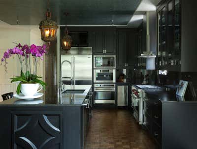  Transitional Family Home Kitchen. Hollywood Redux by Fern Santini, Inc..