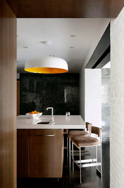  Modern Apartment Kitchen. Laight Street Loft by DHD Architecture & Interior Design.