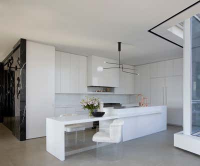  Modern Apartment Kitchen. Gold Coast Penthouse by Kara Mann Design.