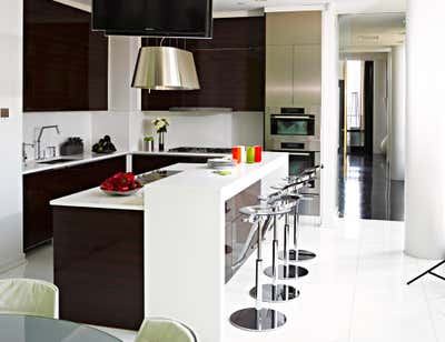  Transitional Apartment Kitchen. Tribeca Residence by Richard Mishaan Design.