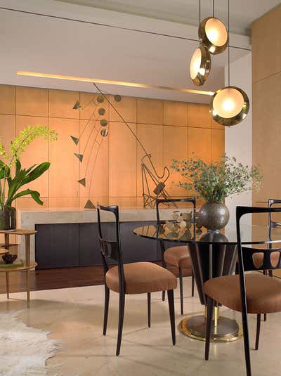  Modern Apartment Dining Room. Chicago Residence by Amy Lau Design.
