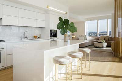  Modern Apartment Kitchen. Cosmo Modern by JHL Design.