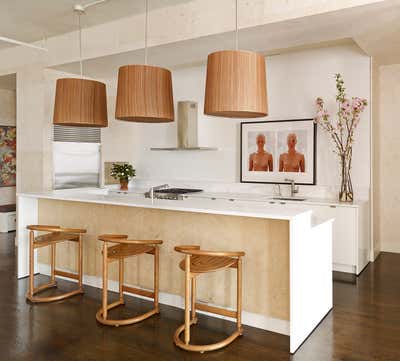 Contemporary Apartment Kitchen. Mercer Residence by de la Torre design studio llc.