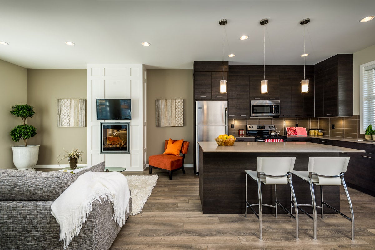 Contemporary Open Plan