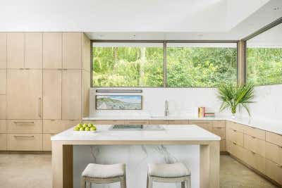  Minimalist Family Home Kitchen. Bayou by Dillon Kyle Architecture.