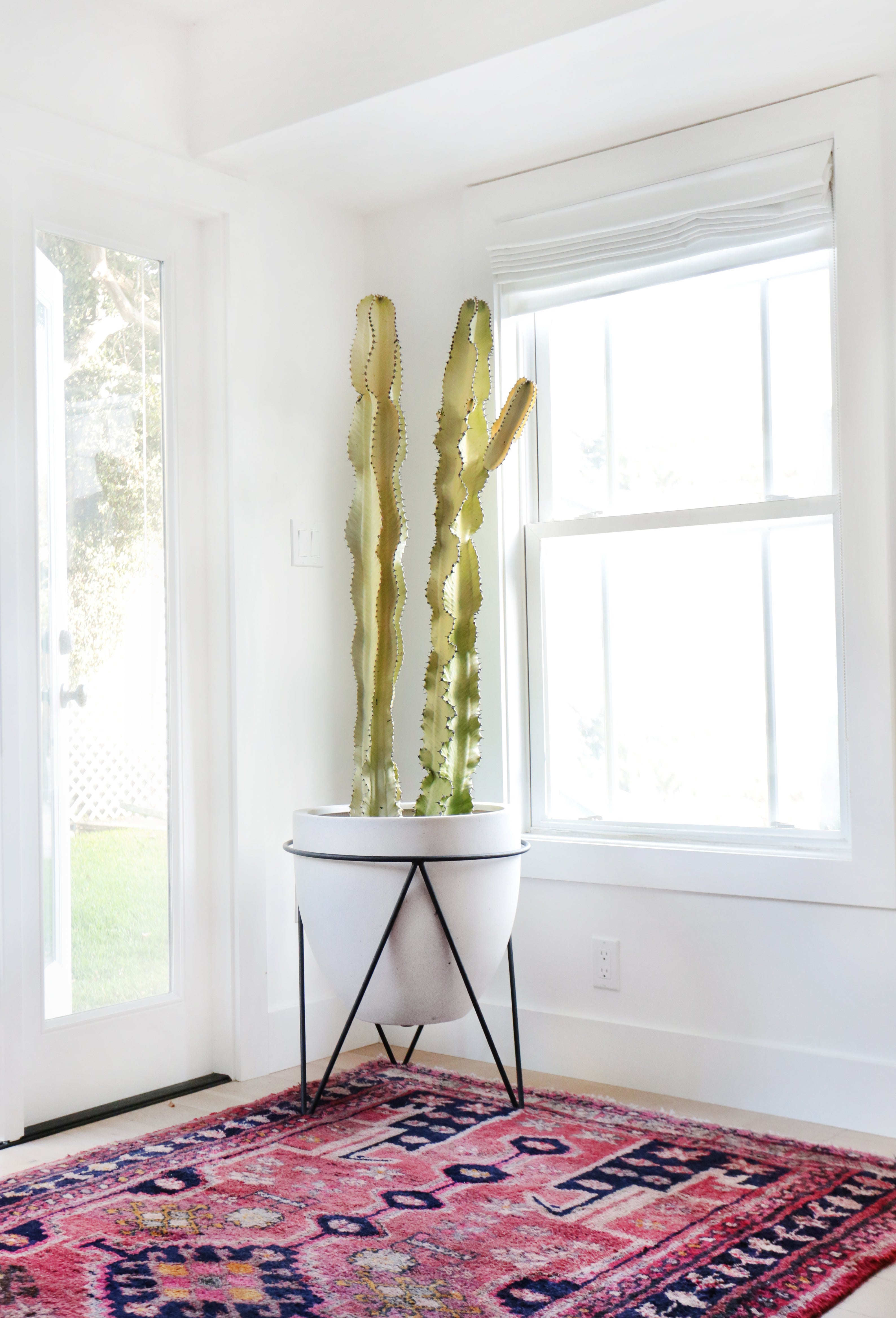 Modern Bar and Game Room