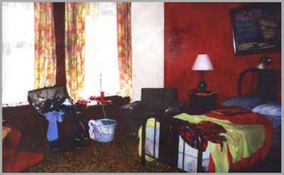  Entertainment/Cultural Bedroom. Corky Romano by Ellen Brill - Set Decorator & Interior Designer.