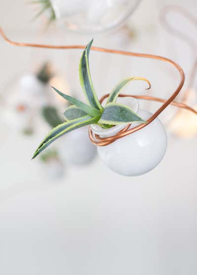  Rustic Restaurant Workspace. 54.2 Tacofino Restaurant by Omer Arbel.