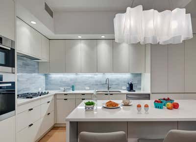  Modern Apartment Kitchen. The Flat Iron by Tamara Eaton Design.