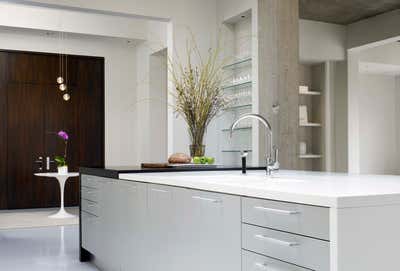  Transitional Family Home Kitchen. Montreal Penthouse by Julie Charbonneau Design.