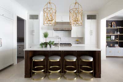  Transitional Family Home Kitchen. Roscoe Village Residence by Steve and Filip Design.