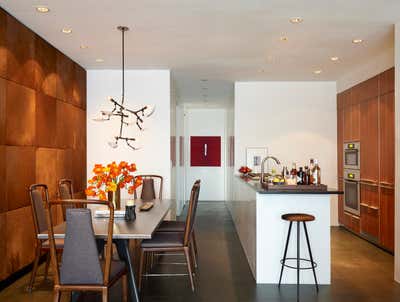  Contemporary Apartment Kitchen. Chelsea by Bradley Bayou.