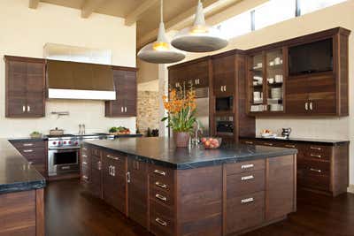  Mid-Century Modern Family Home Kitchen. Soaring Bird by Taylor Borsari Inc..