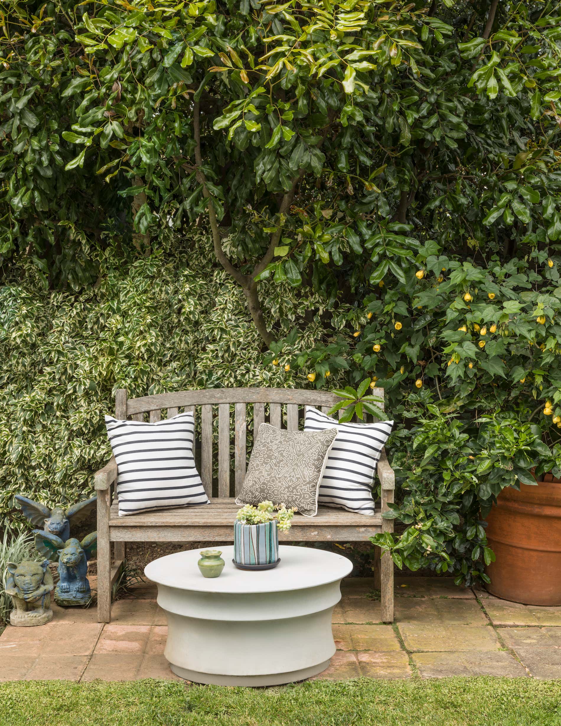 Transitional Patio and Deck