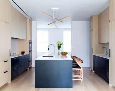  Minimalist Family Home Kitchen. Clinton Street Townhouse by Frederick Tang Architecture.