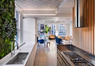  Modern Family Home Kitchen. Empire State Apartment by Schiller Projects.