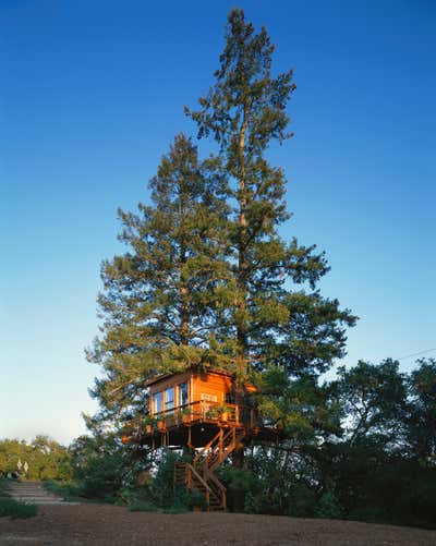 Maximalist Exterior. Sonoma Tree House by Fisher Weisman Brugioni.