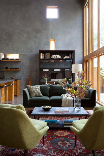  Family Home Living Room. Zilker Contemporary by Cravotta Interiors.