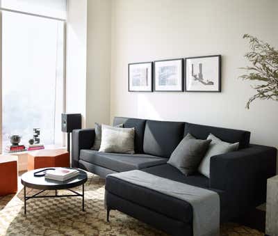  Contemporary Mixed Use Living Room. One Manhattan Square by Anna Karlin.