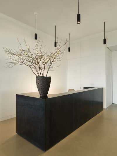  Contemporary Minimalist Office Lobby and Reception. Office by Clive Lonstein.