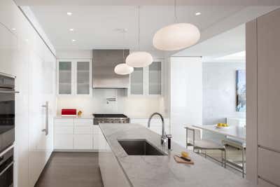  Contemporary Apartment Kitchen. Fifth Avenue Penthouse by 1100 Architect.