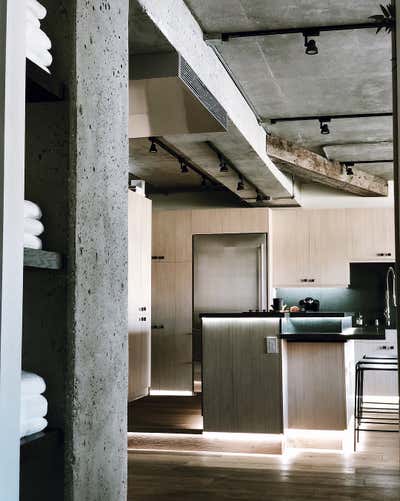  Industrial Apartment Kitchen. Project 1103 by Elisa Baran LLC.
