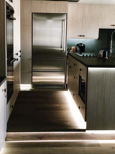  Modern Apartment Kitchen. Project 1103 by Elisa Baran LLC.