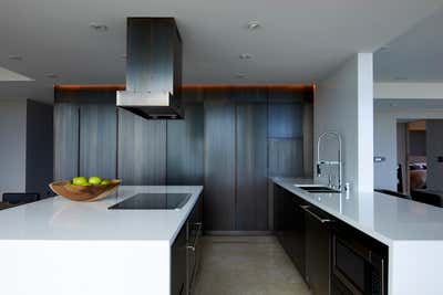  Modern Apartment Kitchen. Kitchen and Dining Room Become Ideal Entertaining Spot  by Fernando Rodriguez Studio.