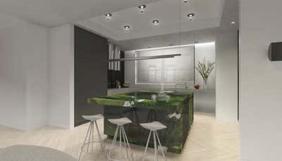  Modern Apartment Kitchen. FLATIRON LOFT by Uli Wagner Design Lab.
