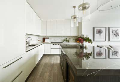  Contemporary Apartment Kitchen. The Renelle  by Brianne Bishop Design.