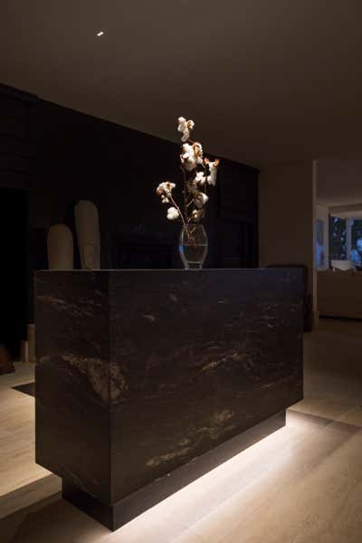  Modern Family Home Bar and Game Room. Vaucluse by Wildly Illuminating.
