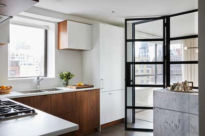  Modern Apartment Kitchen. Uptown Pied-a-terre by Pembrooke & Ives.