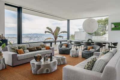  Organic Family Home Living Room. San Francisco Minimal by Sean Leffers Interiors.