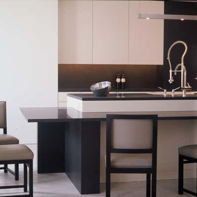  Modern Apartment Kitchen. Ritz Carlton by Darryl Carter Inc..
