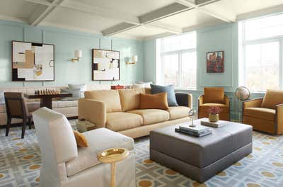  Transitional Apartment Living Room. Park View by Lisa Tharp Design.