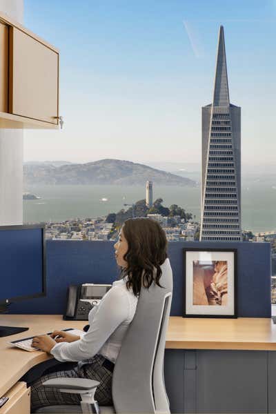  Contemporary Office Workspace. San Francisco Law Office by Schiller Projects.
