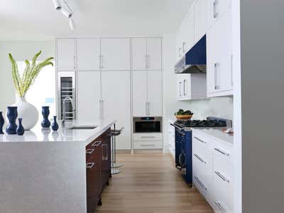  Modern Family Home Kitchen. Art Collector's Condo by J Witzel Interior Design.