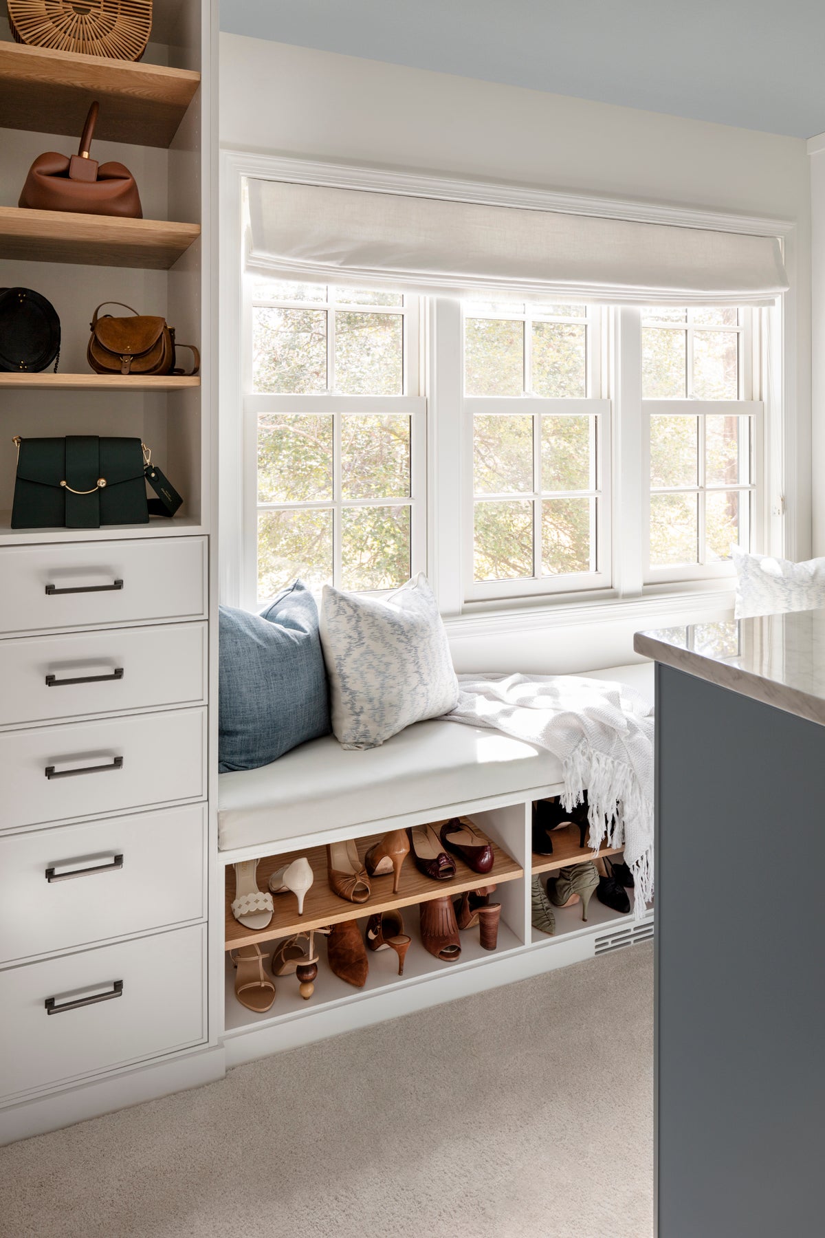 Mid-Century Modern Storage Room and Closet
