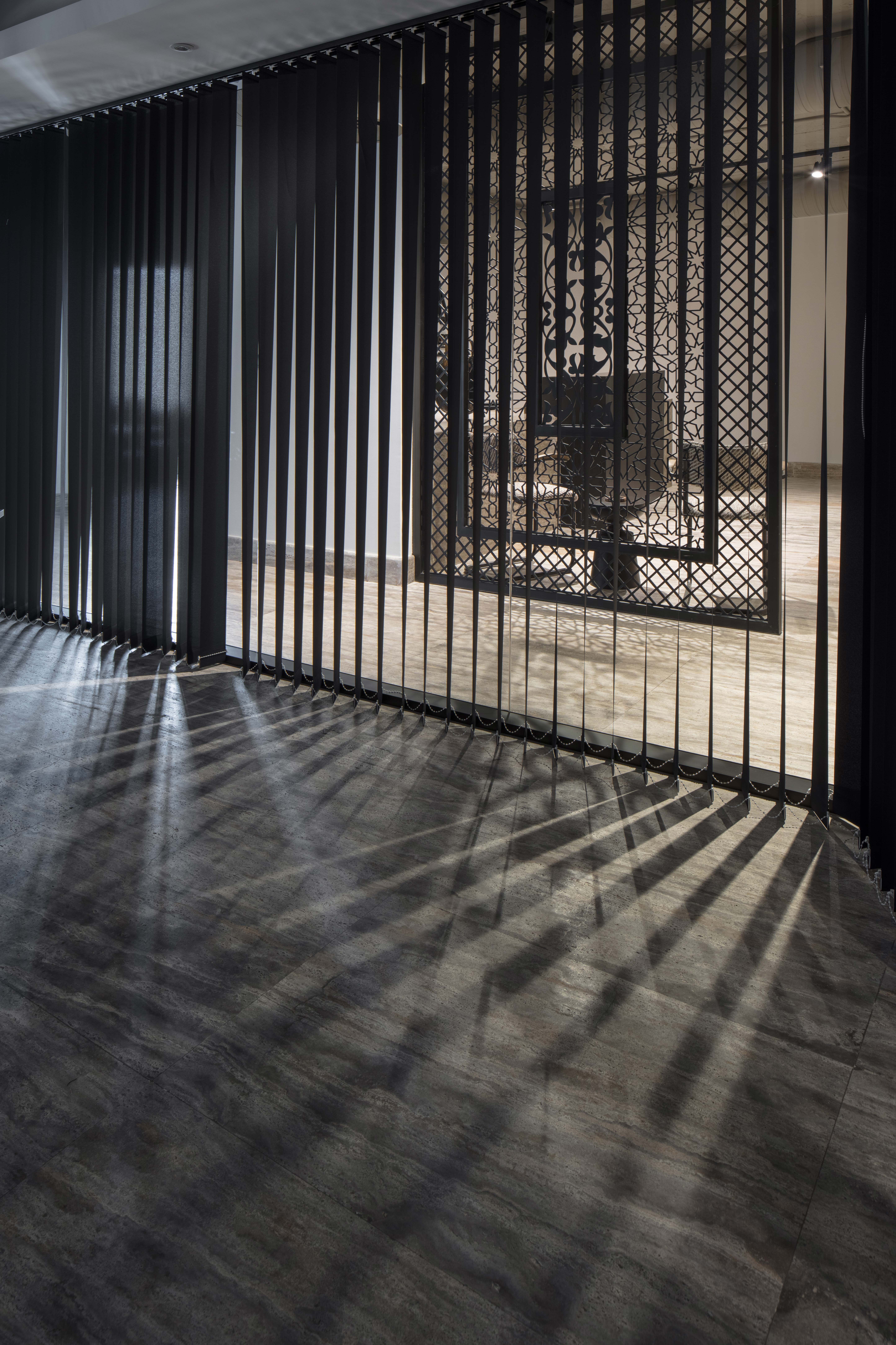 Contemporary Entry and Hall